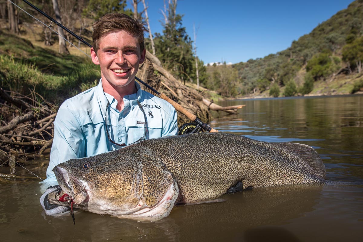 Большая рыбная река. Муррейская треска. Murray Cod. Самые большие речные рыбы. Рыбалка в Австралии.