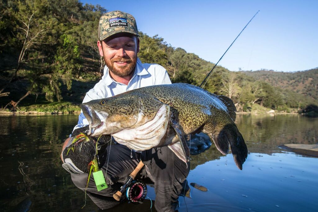 Murray Cod On Fly – Aussie Fly Fisher