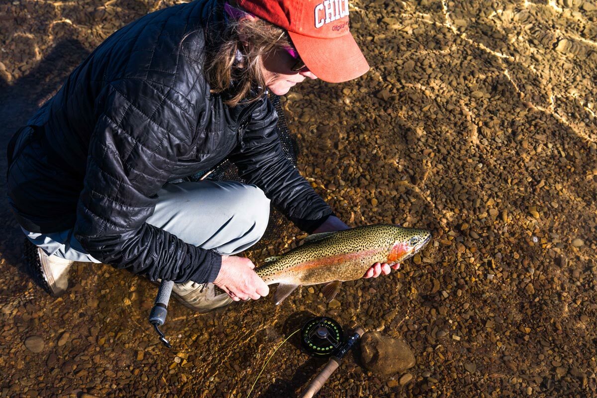 Blue Mountains Fly Fishing