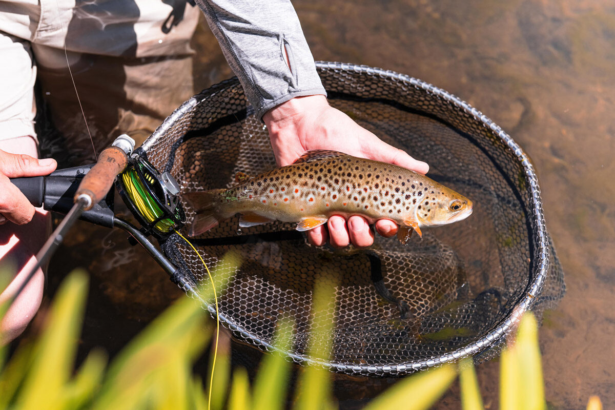 Blue Mountains Fly Fishing