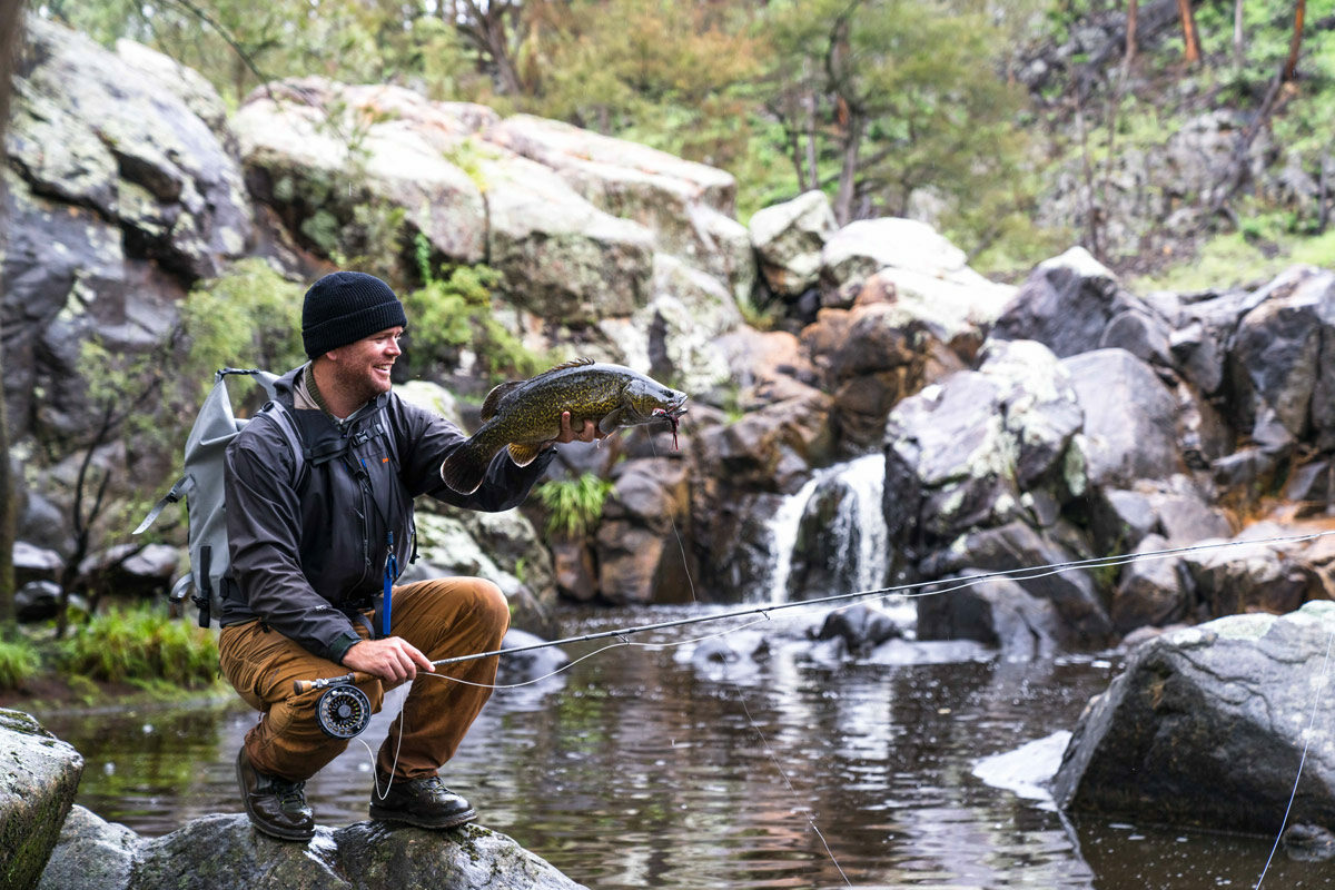 Murray Cod Fly Fishing