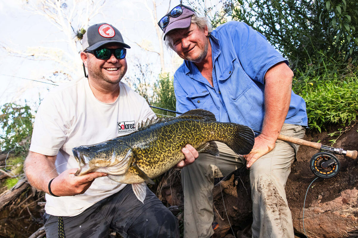 Murray Cod – Aussie Fly Fisher Fly Fishing Trips