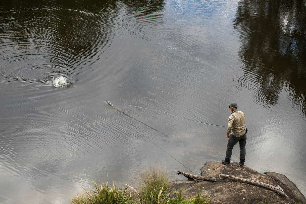 Murray Cod Fly Fishing