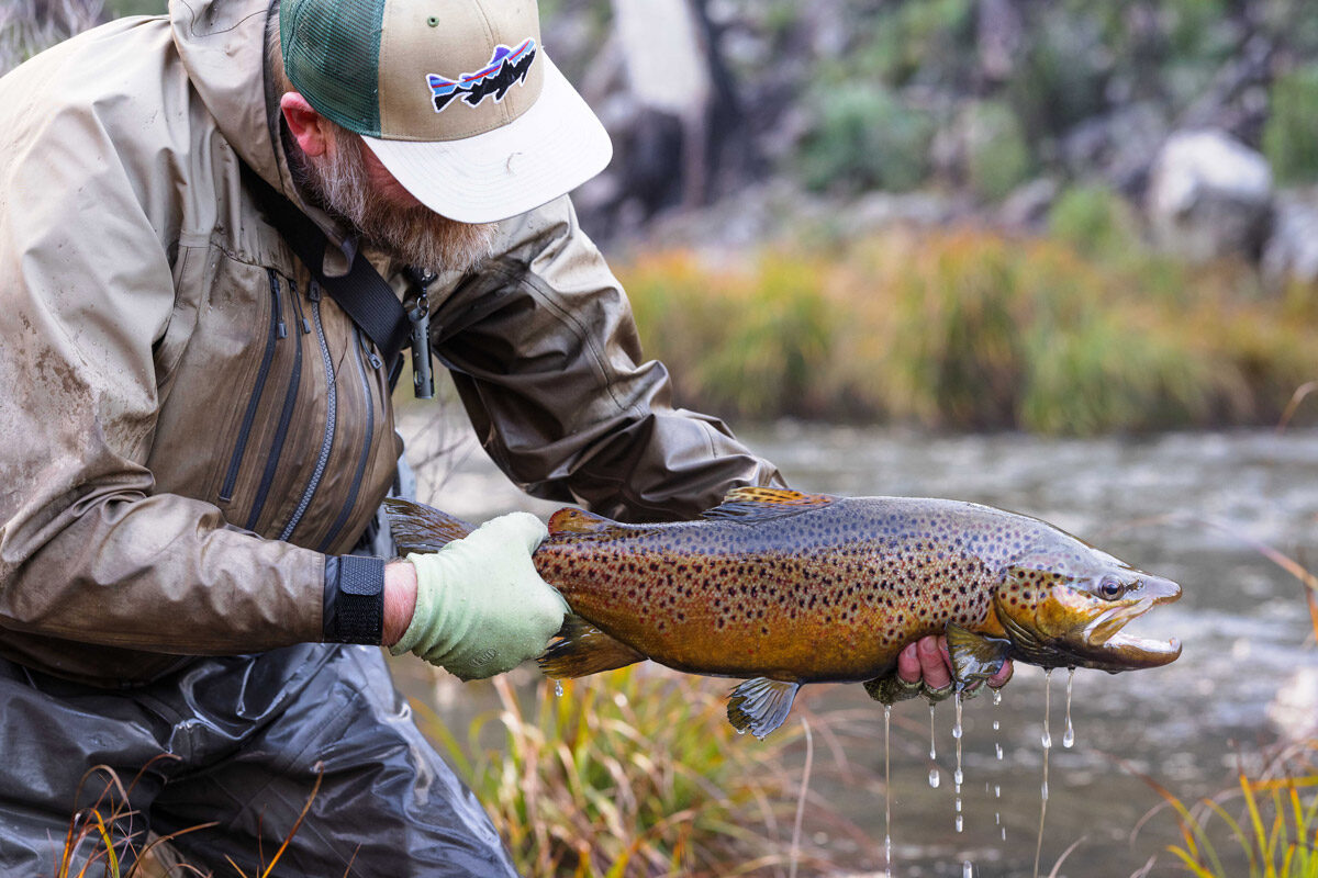 Walk and Wade - Snowy Mountains, NSW – Aussie Fly Fisher