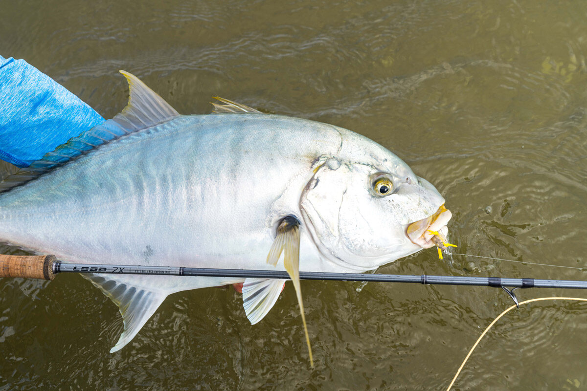 Australia, Cape York - Fish's Fly and Sportfishing, Saltwater fly